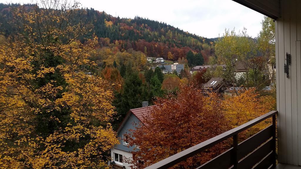 Bergblick Ferienwohnung Schwarzwald Bad Wildbad Pokój zdjęcie