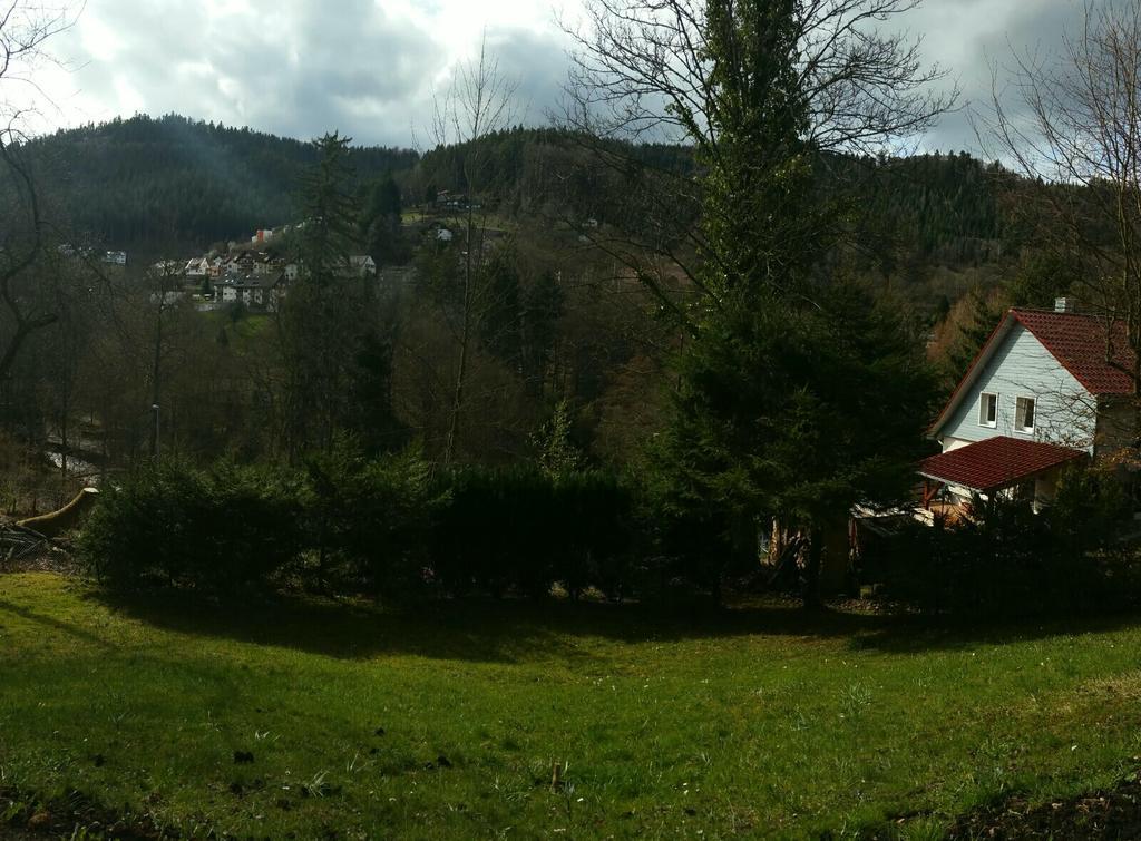 Bergblick Ferienwohnung Schwarzwald Bad Wildbad Zewnętrze zdjęcie