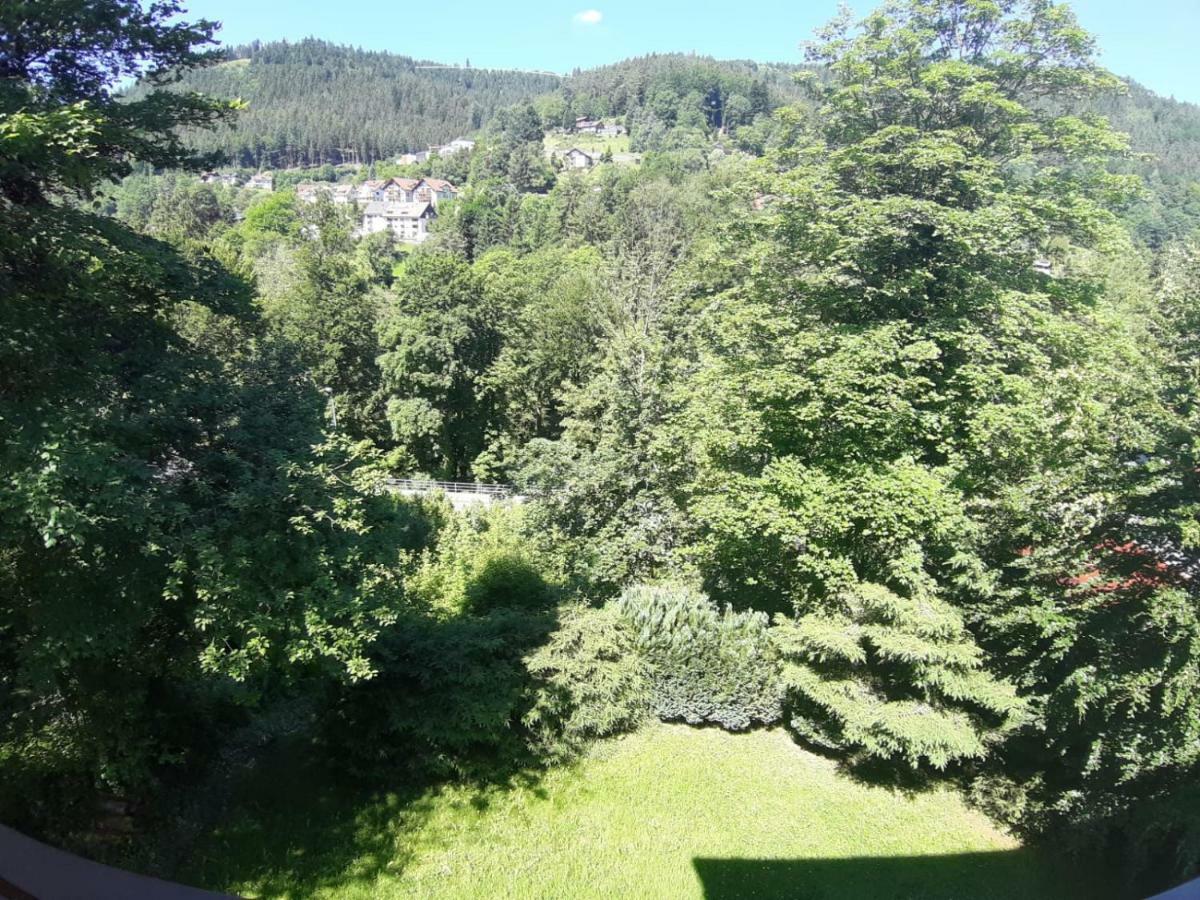 Bergblick Ferienwohnung Schwarzwald Bad Wildbad Zewnętrze zdjęcie