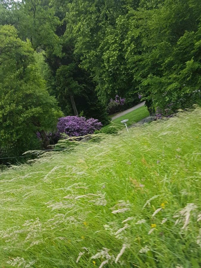 Bergblick Ferienwohnung Schwarzwald Bad Wildbad Zewnętrze zdjęcie