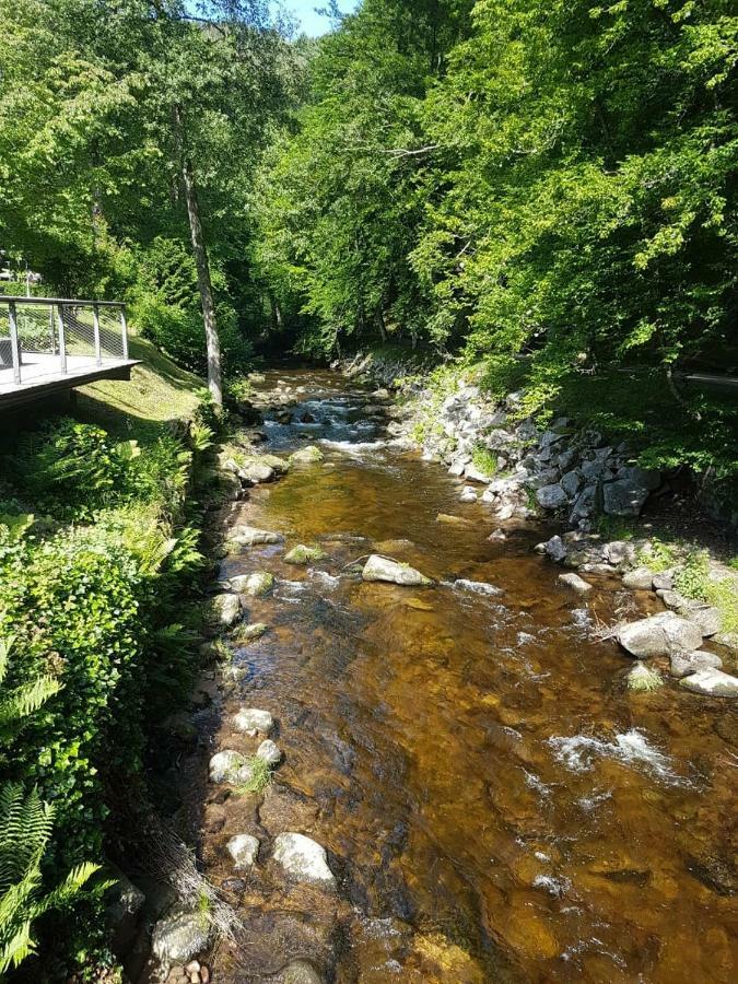 Bergblick Ferienwohnung Schwarzwald Bad Wildbad Zewnętrze zdjęcie